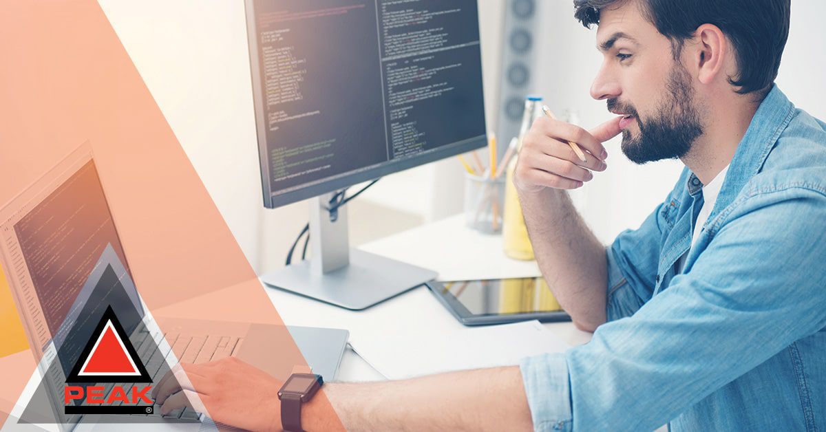 Gaining Support for Your MicrosoftBased Enterprise System Detroit